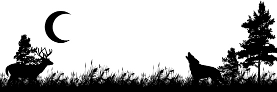footer